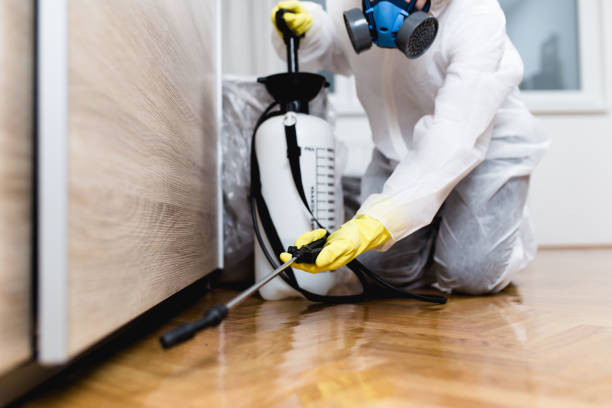 Pest Prevention Services in Somerville, NJ